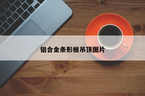 鋁合金條形板吊頂圖片